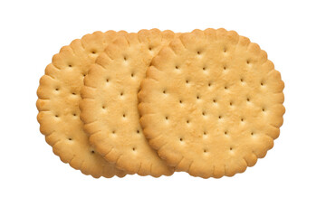 Several round biscuits in a row on a white background. Three simple round cookies isolated.