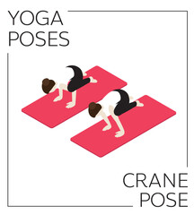 Yoga Pose Crow Crane Isometric Vector Set