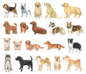 犬のイラストセット