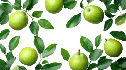 seamless pattern with apples isolated on transparent background. 