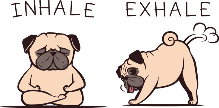 A humorous representation of a pug dog colorful vector