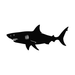 shark silhouette icon vector illustration