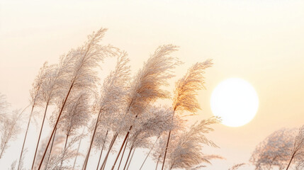 Minimalist boho sun design with gradient tones, evoking serene natural harmony.