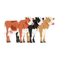 Farm Cattle Illustration - Trio of Colorful Side Profile Cows for Agriculture, Livestock Dairy Farming