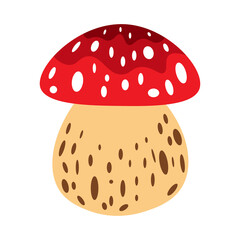 Colorful of mushroom. Vector illustration