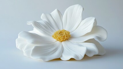 Obraz premium Close up of a single white cosmos flower cup cake