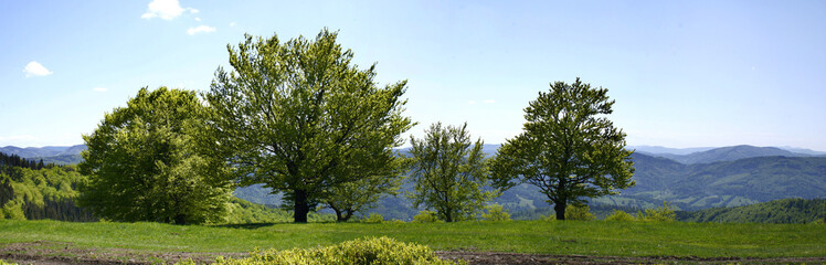 Fototapeta premium Panoramic view of a picturesque valley in the morning light, fog, meadows and morning light, spring rural landscape