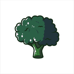 Fresh Green Broccoli, high-quality vegetable Illustration Editable Vector