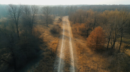 Scenic autumn trail through misty forest with bare trees and golden foliage