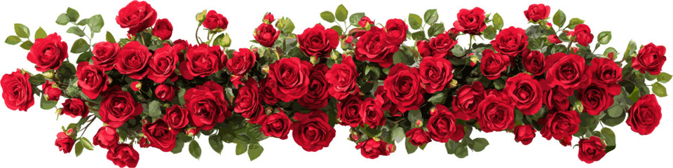 elongated decoration of red roses and green leaves