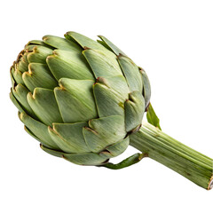 Obraz premium artichoke isolated on white background