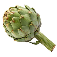 Fototapeta premium artichoke isolated on white background