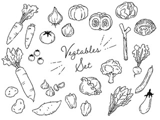 おしゃれでラフな雰囲気の野菜のベクターイラストセット(線画)