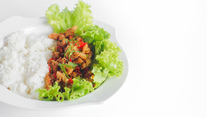 white rice and chopped meat and green vegetables