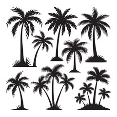 Palm Trees Silhouette Illustration