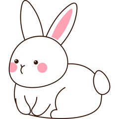 Cute Bunny Rabbit