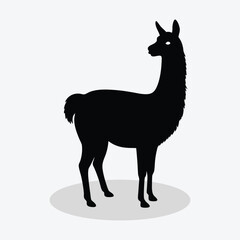 A black and white donkey animal simple flat design.