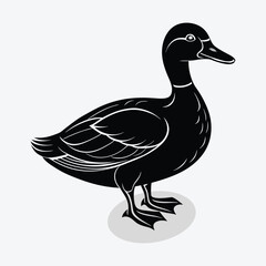 A black and white duck animal vector.