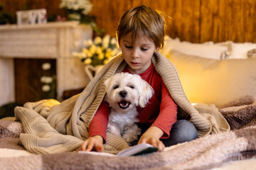 Little toddler child, boy, lying in bed with pet dog, little maltese dog, reading a book.