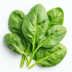 Fototapeta premium Fresh and vibrant spinach leaves arranged neatly. Ideal for healthy cooking, nutrition blogs, and culinary presentations.