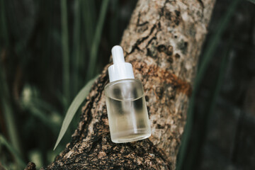 Natural serum in a glass bottle with a pipette on a tree background. The concept of natural cosmetics and oils for the skin and body. Moisturizing serum for face and hair