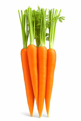Four fresh, vibrant orange carrots with green tops, isolated on white