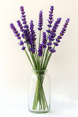 Naklejka premium Lavender bouquet in a clear glass vase against a white background