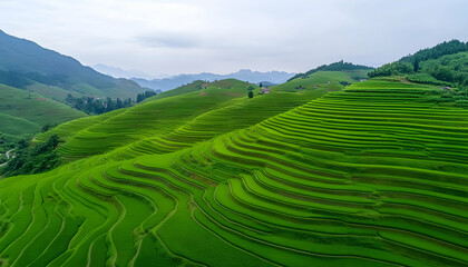Fototapeta premium Lush green rice terraces cascading down mountain slopes under a cloudy sky (1)