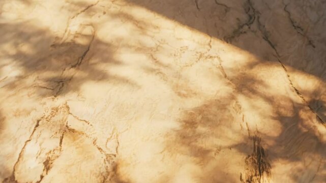 A close-up of a polished marble surface with light shadows gently cast across it. The intricate natural veins and the subtle play of light and shadow create an elegant and calming effect