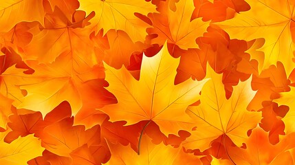 Obraz premium Autumn maple leaves background.