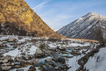 winter landscape with snow
