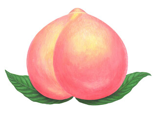 昔話風の桃のイラスト