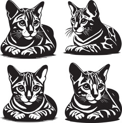 Obraz premium Bengal cat vector in black and white