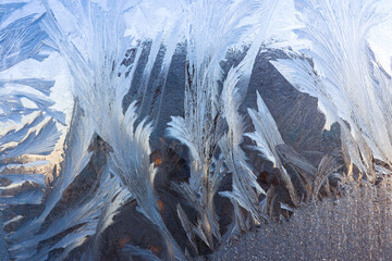 Ice patterns on winter glass