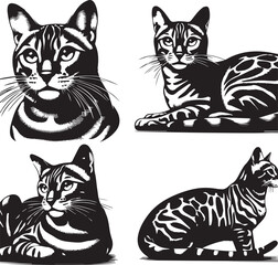 Bengal cat vector in black and white