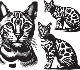 Bengal cat vector in black and white