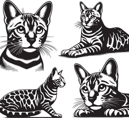Bengal cat vector in black and white
