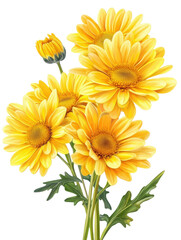 Naklejka premium Illustration of yellow chrysanthemum, isolated background