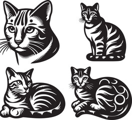 Obraz premium Bengal cat vector in black and white