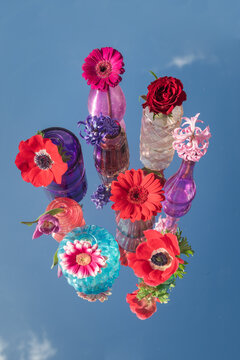 colorful arrangement of poppy flowers, germinis, rose and hyacinth in colored glass vases standing on mirror