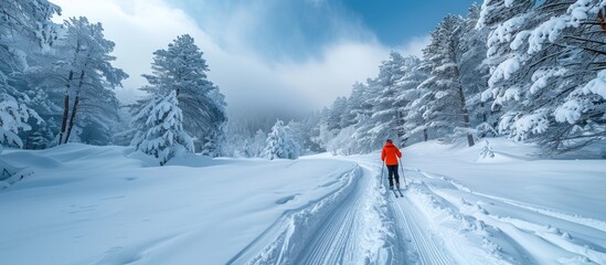 Snowy Landscape with Cross Country Skier