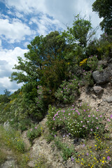 landscape with blue sky and clouds, Monte Minerva. Monteleone Rocca Doria, volcano mountain and...