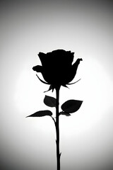 A silhouette of a red rose blossom, a floral art vector against a black background