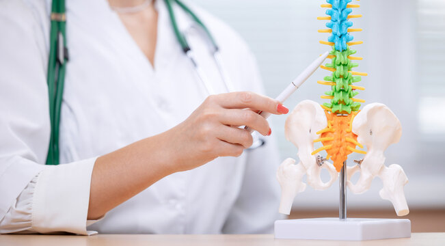 Neurologist osteopath doctor explaining human spine model in medical orthopedist office setting