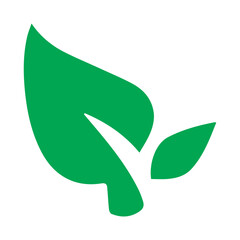 leaf green icon