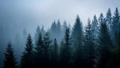 Obraz premium A shadowy forest where all the trees appear as pure silhouettes against a misty backdrop, creating a haunting and mysterious atmosphere. 