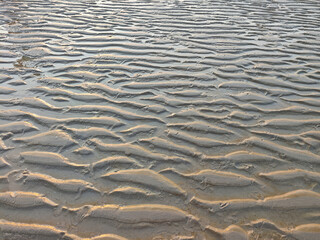 Beach after the tide recedes