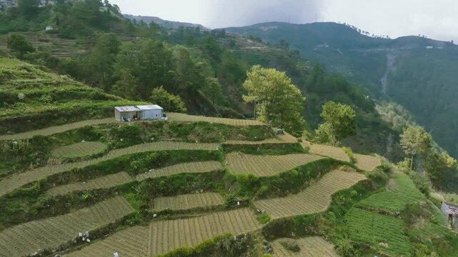 Aerial 4K, Northern Blossom Farm, Atok's Floral Paradise Revealed, Philippines
Discover  floral paradise of Atok, Benguet.  The footage captures the farm's breathtaking floral displays