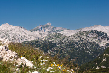 Mountain range Krn in Triglav National Park in Julian Alps