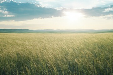 Obraz premium Tranquil grass field scene at dawn nature photography open landscape serene environment wide viewpoint capturing the essence of grass in a gentle breeze